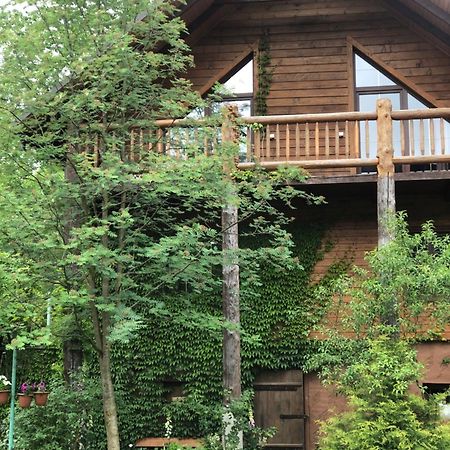 Vila На Галіції Byalobereska Exteriér fotografie