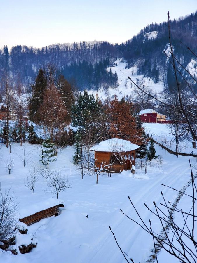 Vila На Галіції Byalobereska Exteriér fotografie