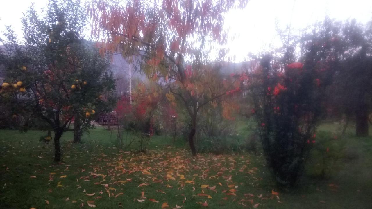 Vila На Галіції Byalobereska Exteriér fotografie